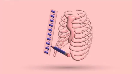 A 3D rib cage beside a ruler and a pencil