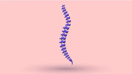A 3D spine seen from the side, showing its forward curve