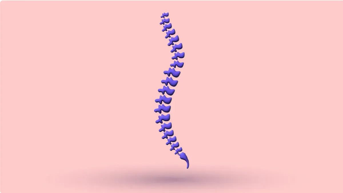 A 3D spine seen from the side, showing its forward curve