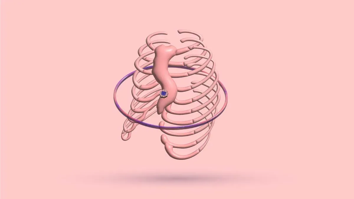 A 3D rib cage with a ring encircling it at the level of the lower ribs